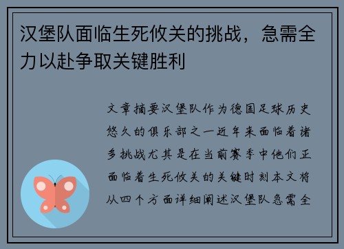 汉堡队面临生死攸关的挑战，急需全力以赴争取关键胜利